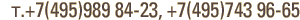 +7 (499) 171 91-69, +7 (495) 743 96-65